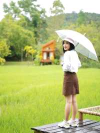 Rainy Day - บ้านนาก๋างโต้ง คาเฟ่กลางทุ่งนา