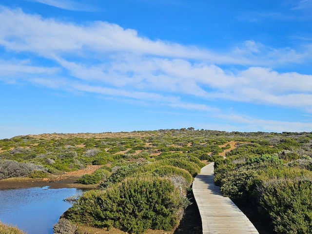 Tasman National Park