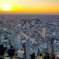 SHIBUYA SKY（澀谷SKY）澀谷夜景新地標