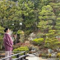 〜京都府〜世界遺産仁和寺！勝負のパワスポ！