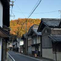 🌟 Exquisite Amanohashidate, A small hidden gem city in Kyoto 🇯🇵