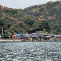 🌟 Unforgettable Moments in Amanohashidate, Kyoto 🇯🇵 