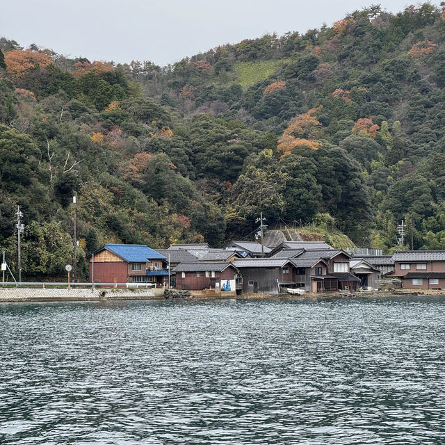 🌟 Unforgettable Moments in Amanohashidate, Kyoto 🇯🇵 