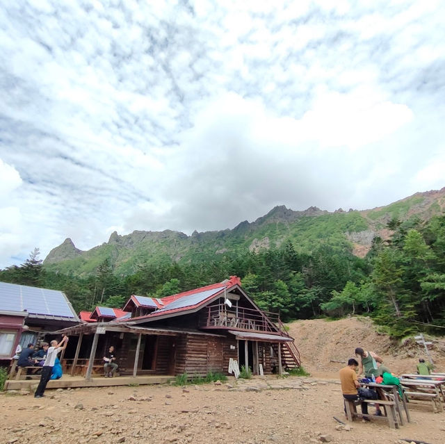 日本アルプス　高山植物