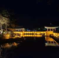 여름의 경주🩵
