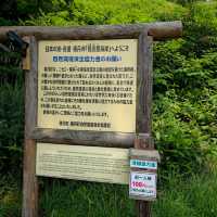 일본여행 북해도 시마무이 해안 島武意海岸 