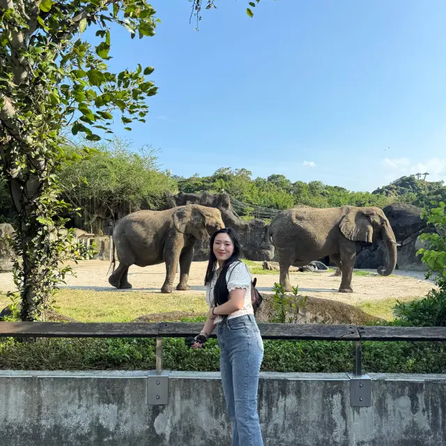 亞洲最大的動物園—臺北市立動物園