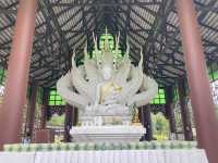 เที่ยวขอพรโชคลาภม่อนพญานาคราช เชียงใหม่ 