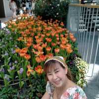 Miracle of Natural Rayong สวนดอกไม้เมืองหนาว