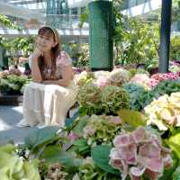 Miracle of Natural Rayong สวนดอกไม้เมืองหนาว