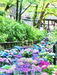 〜奈良県〜長谷寺
