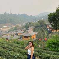 ทริปฮีลใจ บ้านรักไทย