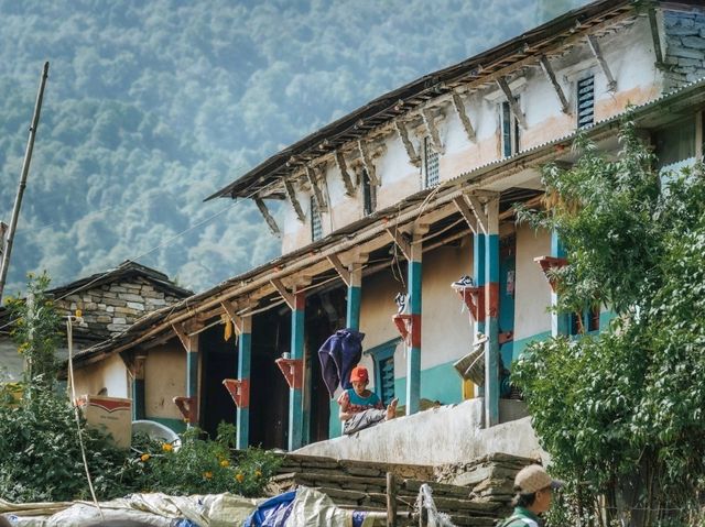 Day 5 Mardi Himal  (Low Camp - Pokhara)