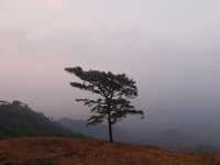 ดอยหลวงตาก