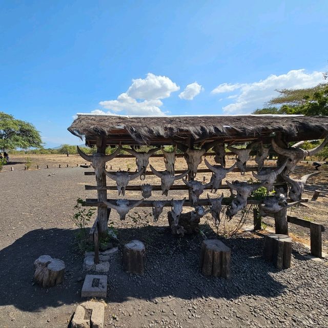 Baluran National ParkTaman Nasional Baluran