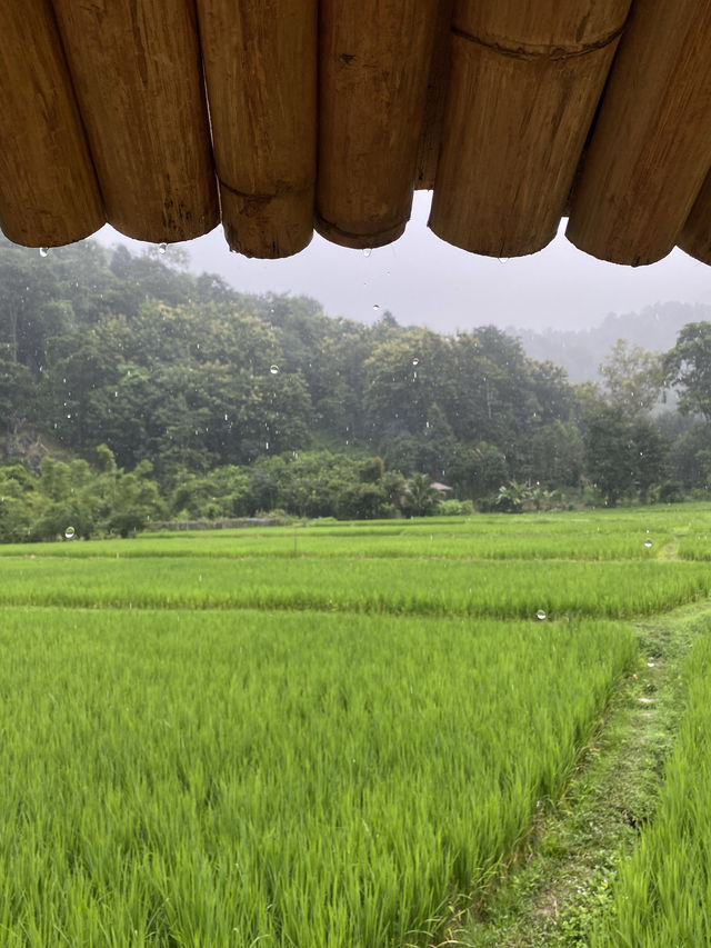ฤดูฝนที่วัดนาคูหา | จ.แพร่ ⛰️🌳🌧️🌿