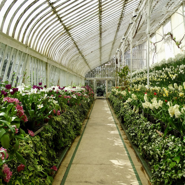 Belfast Botanic Gardens: A Green Haven in the City