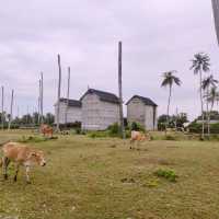 Paradise Found: Mangkuk Beach's Hidden Charm