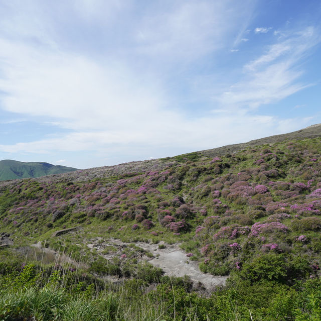 【綠色天堂】草千里之濱：馬匹體驗、停車場、火山博物館，適合晴朗天氣