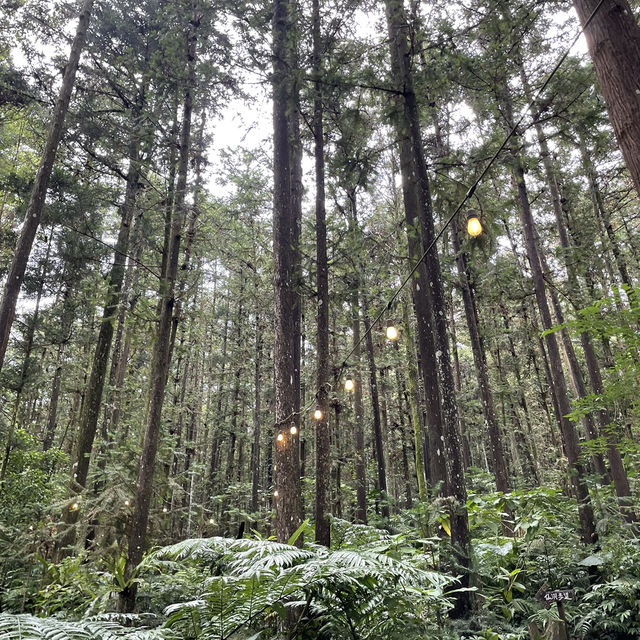 新竹森窯have a Picnic - 深山秘境窯烤披薩 - 美味有嚼勁香氣十足