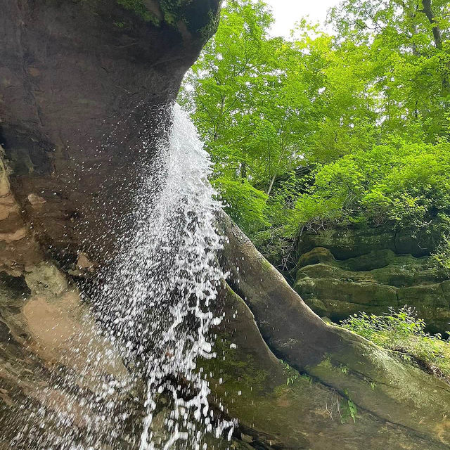 太平山國家森林遊樂區🌳綠洲中的世外桃源
