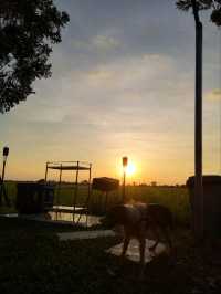 ที่พักลับ กลางทุ่งนา Escape Cottage