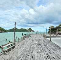 เกาะยอ ธนาคารปู ชุมพร