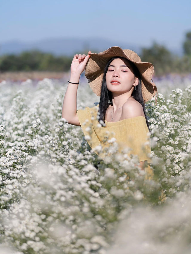 I Love Flower Farm สวนดอกไม้เชียงใหม่