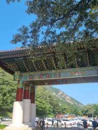 설악산 절경을 한눈에 볼 수 있는 케이블카