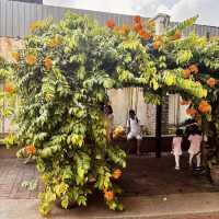"Exploring Jonker Walk: A Vibrant Journey Through Malacca's Heritage Park"