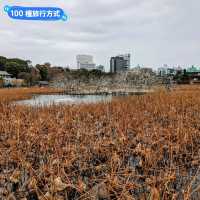 日本東京-大人小孩都喜歡的動物明星：上野動物園