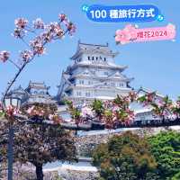 【日本美食文化】星鰻料理、咖啡與姬路城，一場令人難忘的旅程🌸