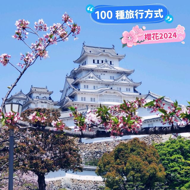 【日本美食文化】星鰻料理、咖啡與姬路城，一場令人難忘的旅程🌸
