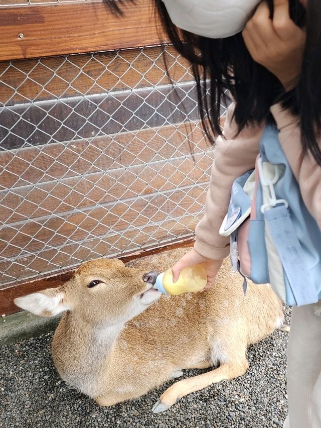 親親動物零距離