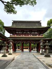 【福岡観光】124年ぶりの大改修✨️森の仮殿🌳