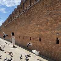 Chiang Mai: Fulfilling Heart and Stomach