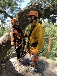 Thrill Through the Trees: Zip Line in South Africa 🇿🇦