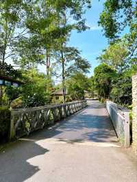 Save the Elephants at Kuala Gandah National Elephant Conservation Centre