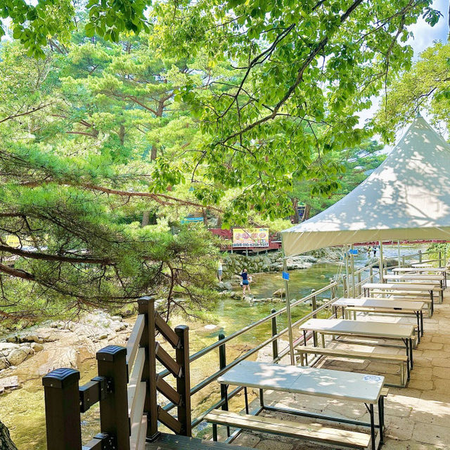 포천 여행 서울 근교 평상 가격 없는 계곡 물놀이 포천 백운 계곡