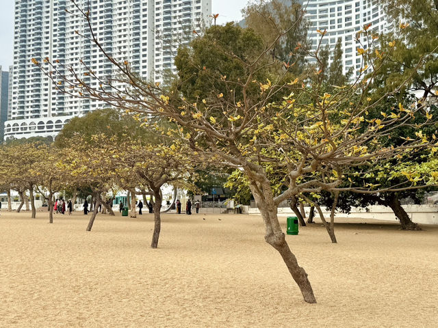 홍콩 여행에서 손쉽게 만날 수 있는 멋진 바다, 리펄스베이 해변.
