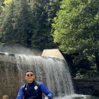 Discover Uzungol: A Hidden Gem in Turkey’s Black Sea Region