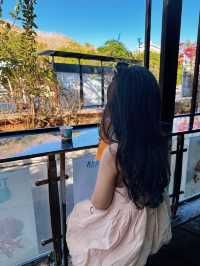 Coastal Charm of Vung Tau