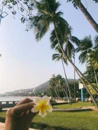 Coastal Charm of Vung Tau