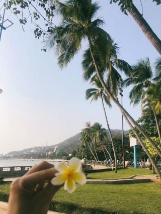 Coastal Charm of Vung Tau