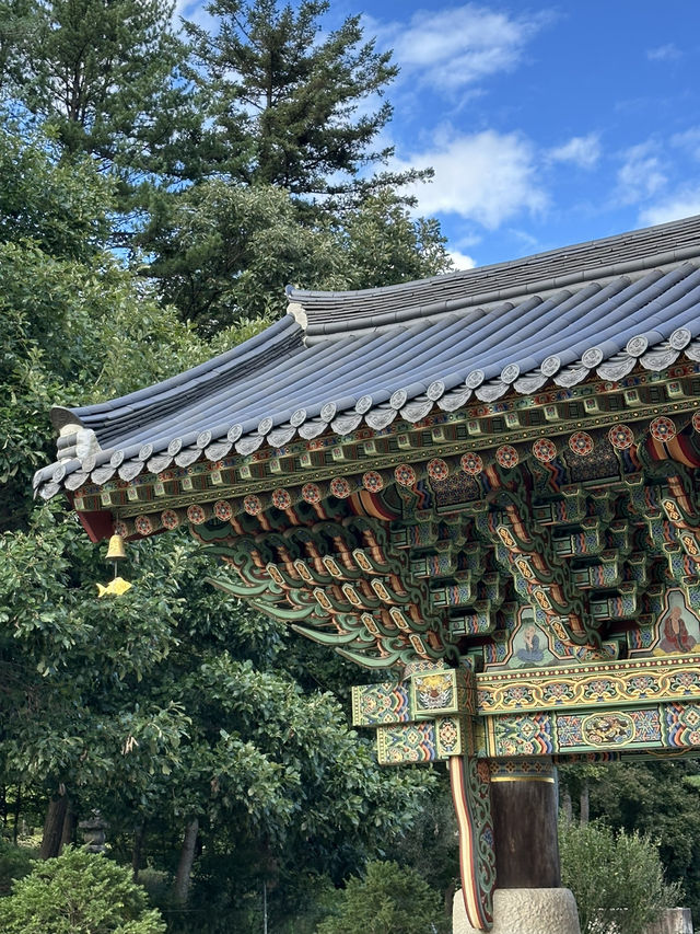 초록 빛깔, 그린 힐링을 하실 수 있는 🧘‍♂️사색하기 좋은 연꽃 정원 실외데이트💚