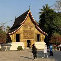 หลวงพระบาง เมืองมากวัฒนธรรม เมืองมรดกโลก