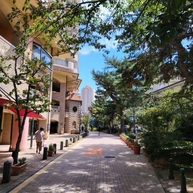 宝冢的早晨🌞