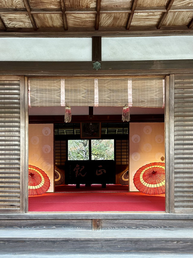 【京都紅葉】とても綺麗な花手水がたくさんあるお寺！