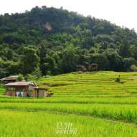 นาขั้นบันได บ้านป่างเปียง เชียงใหม่