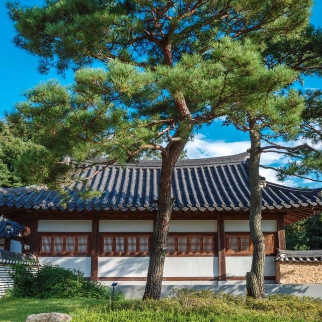 한옥 목조건물의 아름다움